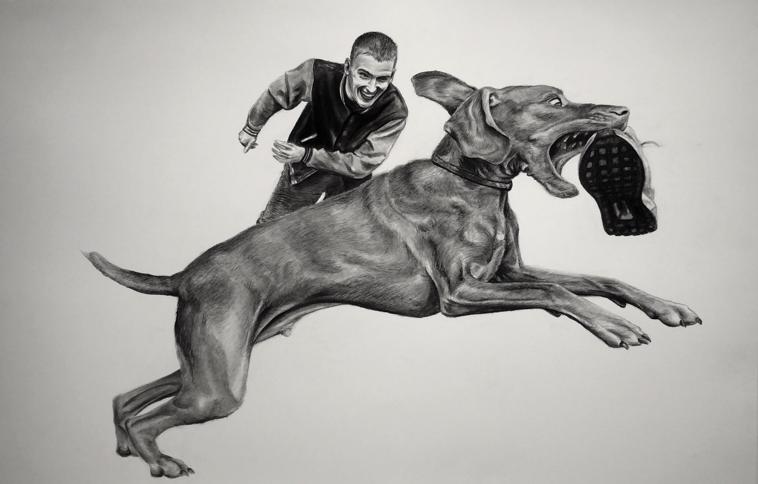 Runaway Bandit, 2019. Pencil and charcoal on paper, 26 x 40 inch.