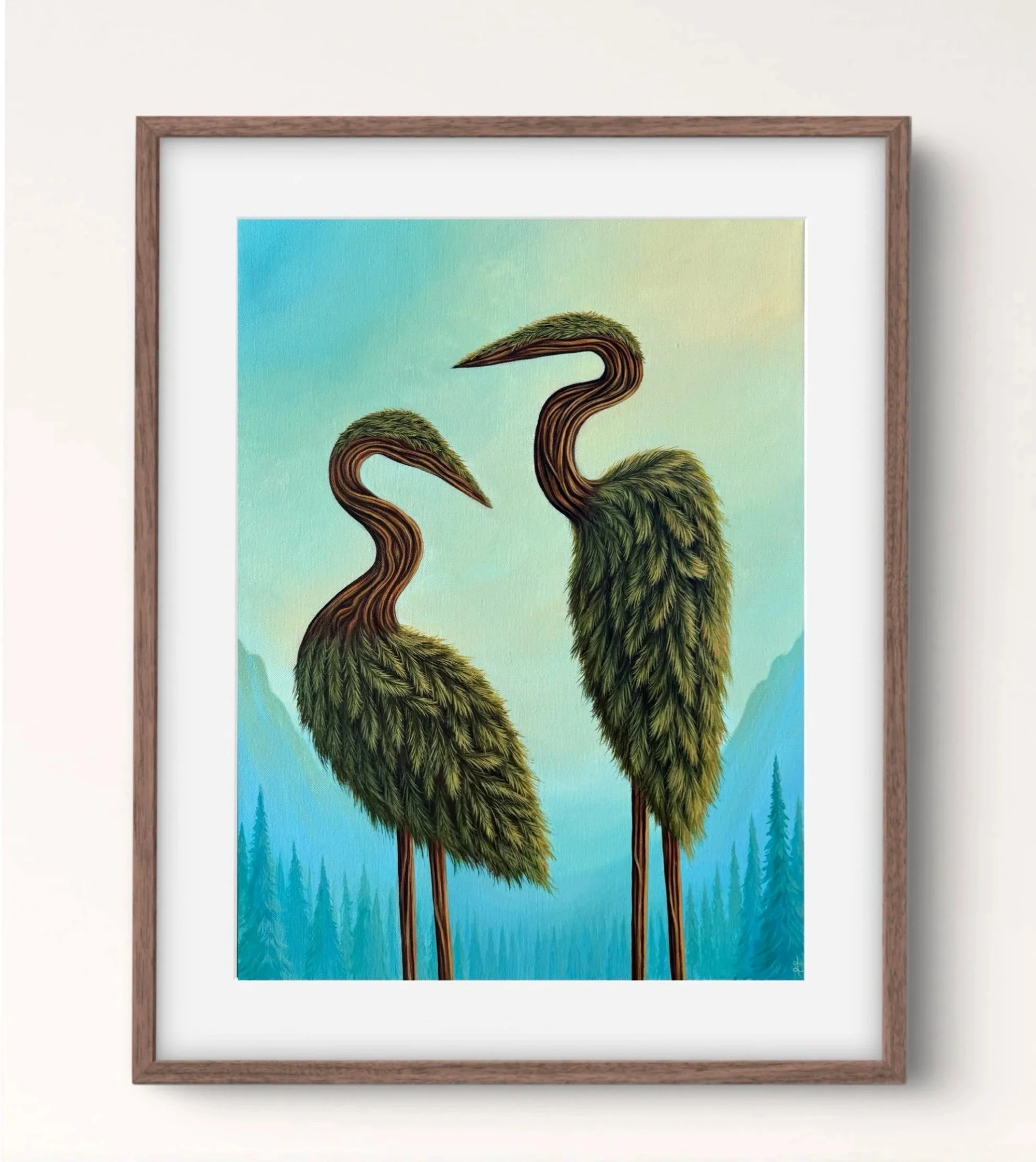 Curled Necks in the Pine Needles – Print (Unframed)