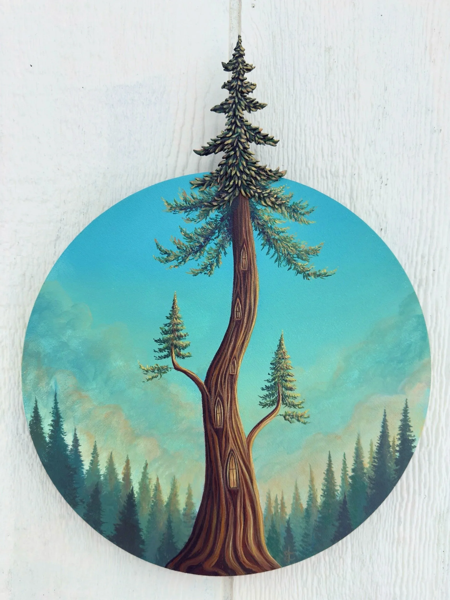 Evening Light in the Treetops