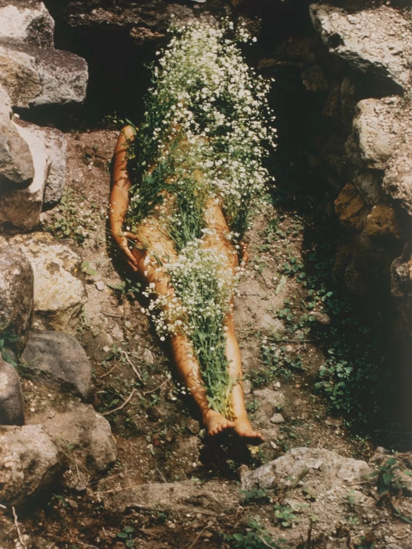 How incredibly exciting! Ana Mendieta&rsquo;s work is being shown by the @tate modern this year. 

I have never seen her work in person before - what a treat for the soul this exhibition will be. 

I&rsquo;d love to know your exhibition recommendatio