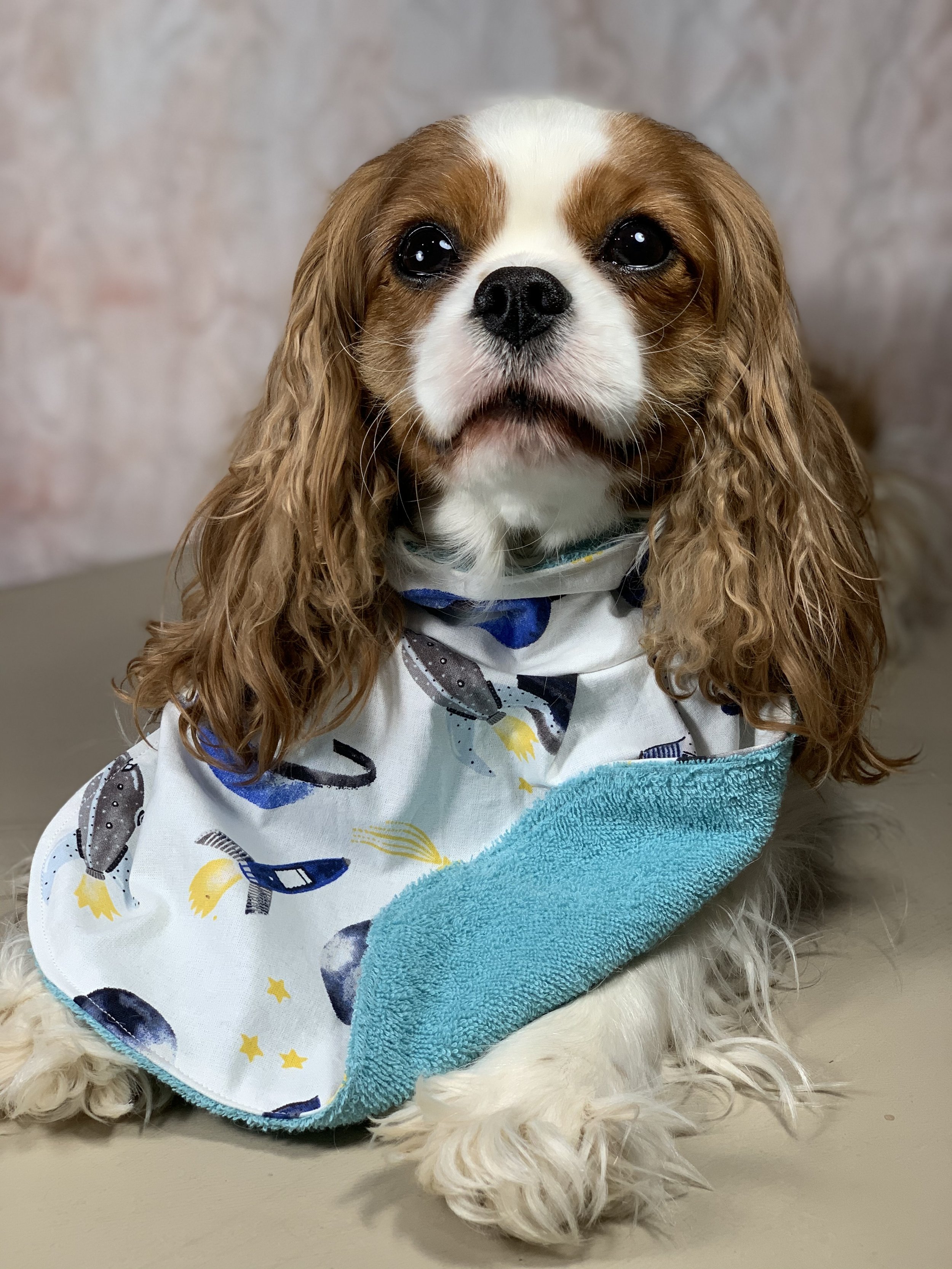 Harley showing the Reversible side - Soft, Absorbent Terrycloth in Teal on her Space Pleated Bib