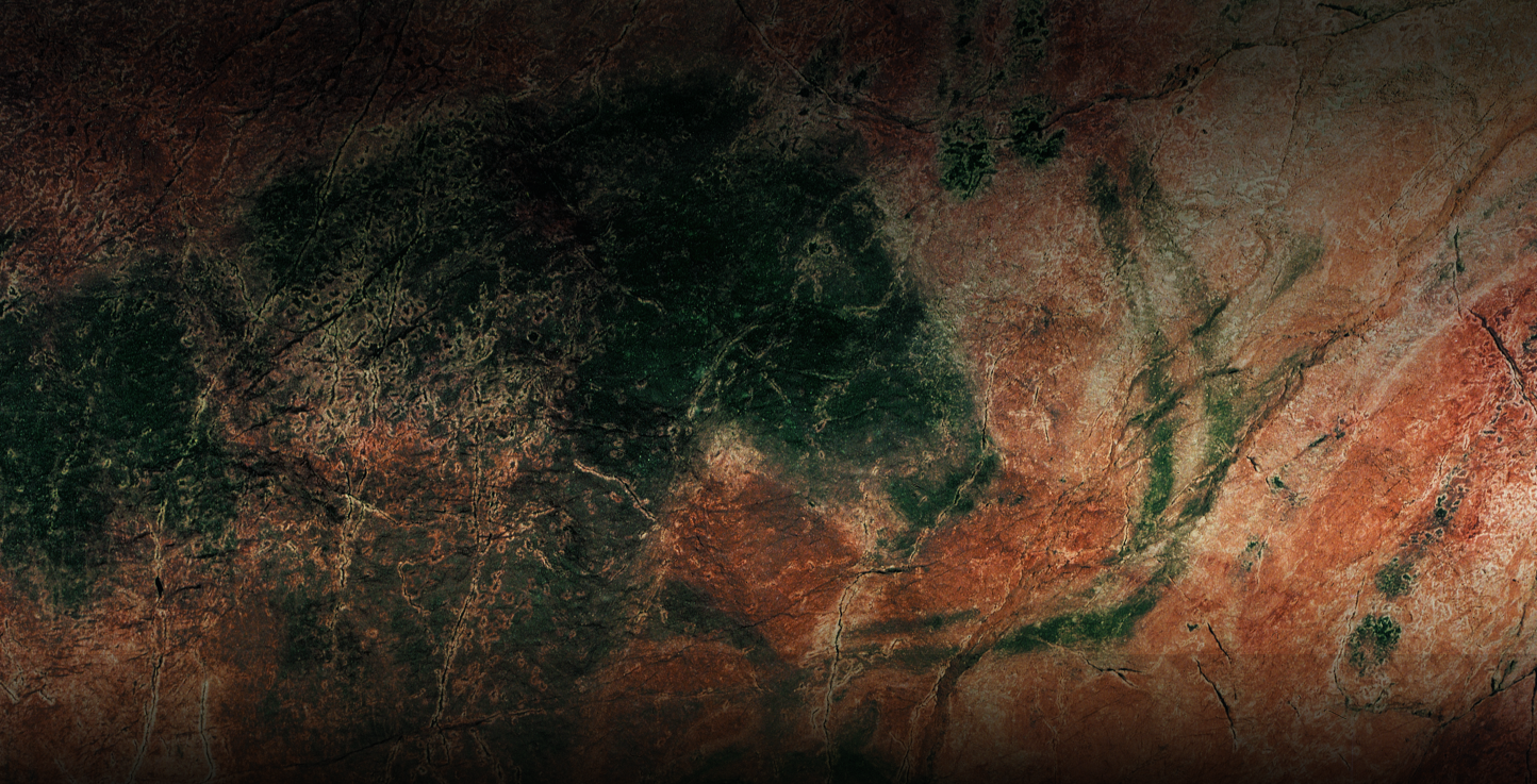 The Cave Paintings of Tito Bustillo 