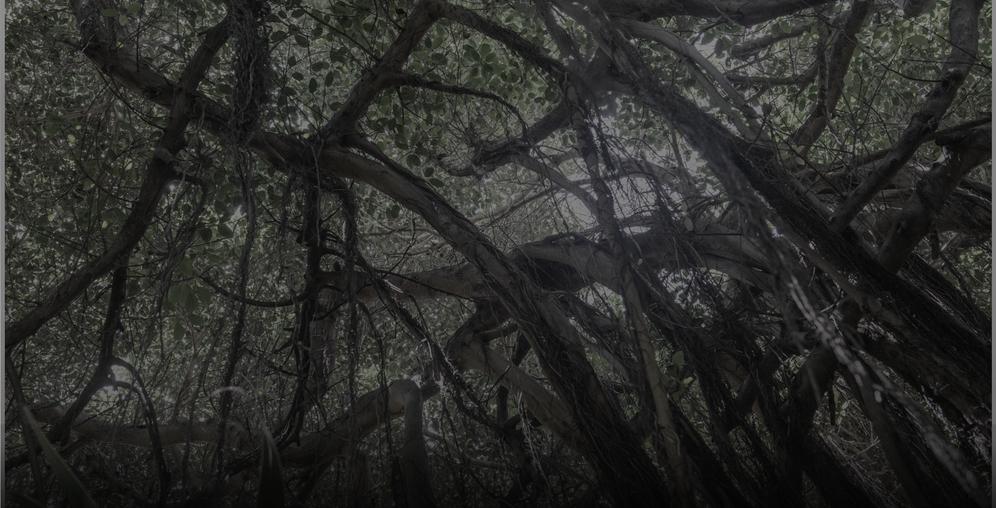 The Growing Gap Between Purpose and Discernment