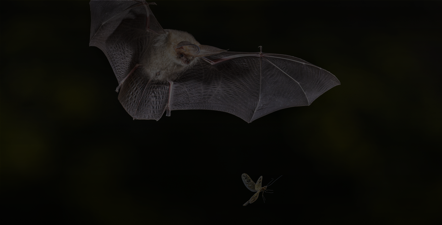 Purpose and Discernment: A ChatGPT Interpretation