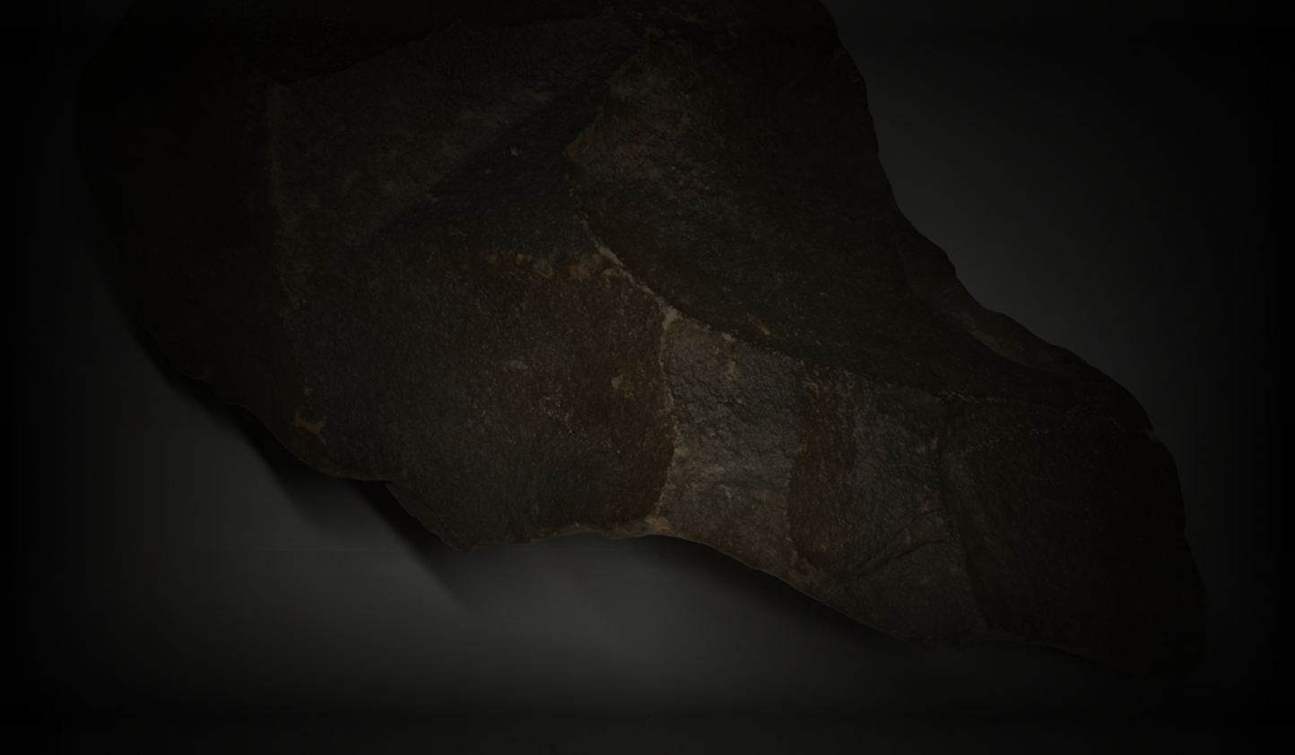 Cultivating Purpose, Expanding Intelligence, and the Death of God