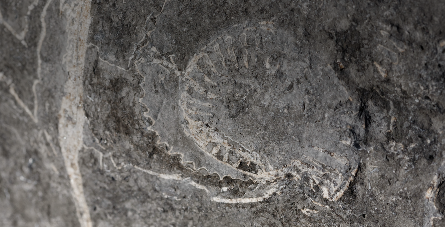 What Is Turing Complete? Infrastructure, Computation, and the New Motor of History