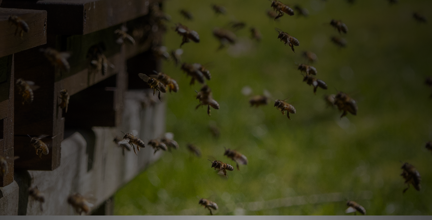 Instinct and Intelligence