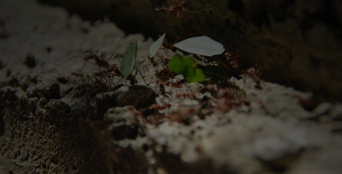 Intelligence and Infrastructure