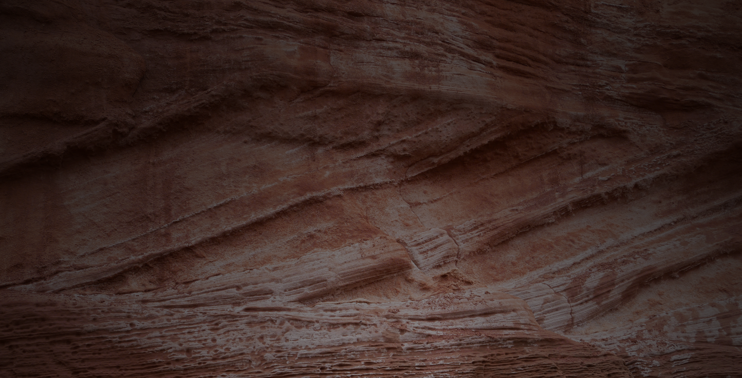 The Enlightenment and the Intellect