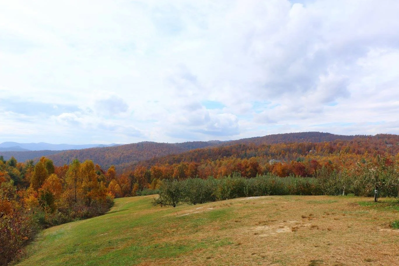 Farms — Blue Ridge Farm Direct Market Association
