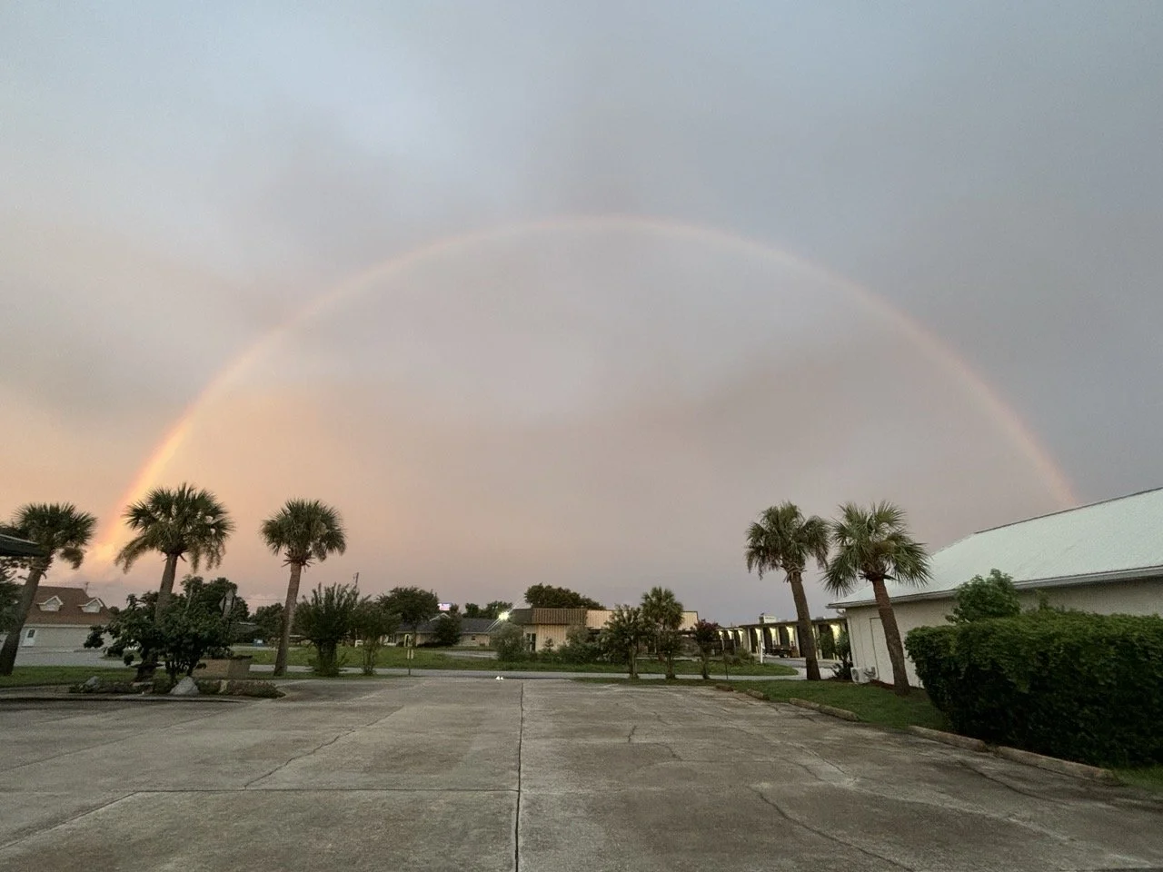 rainbow pic Large.jpeg