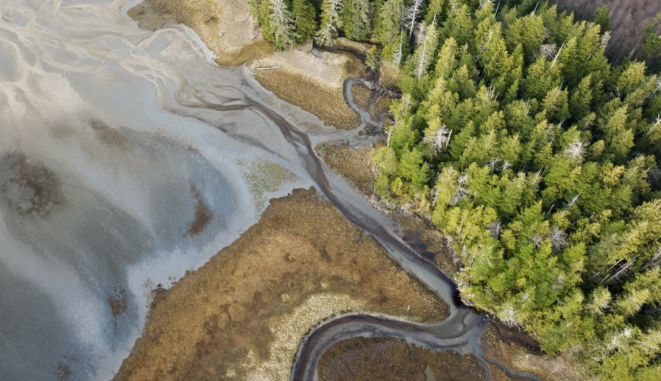 Estuary to Old Growth Collaboration Declaration