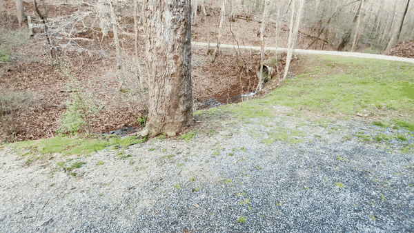ezgif-3-71b26a1b8a.gif