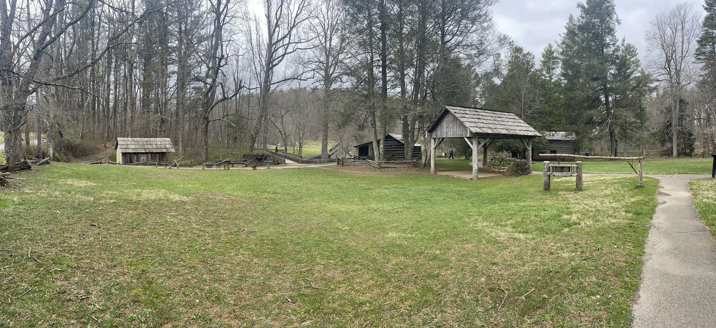 IMG_4352.jpeg