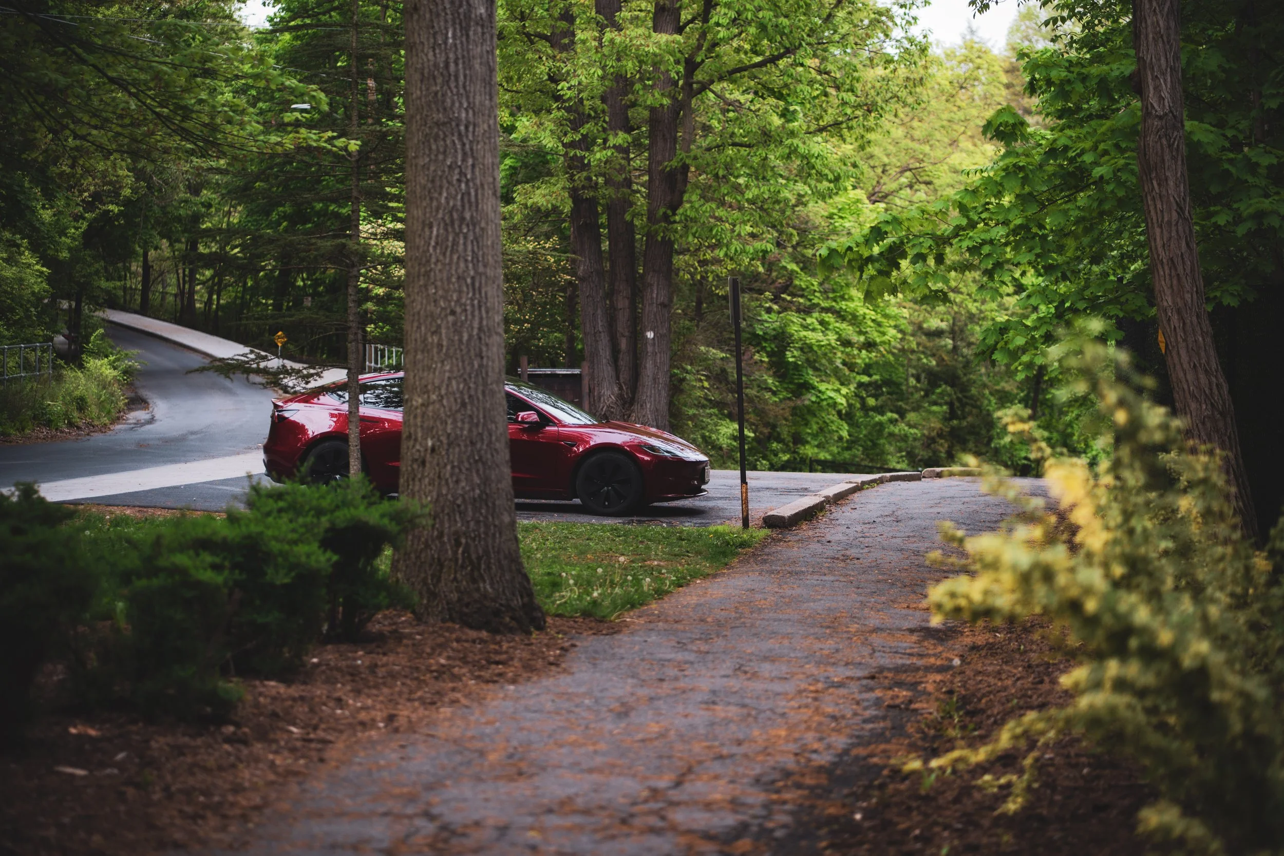 Red Rocket__2025-05-16__19-09-41.jpg