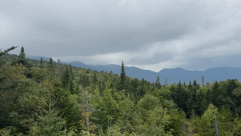 ezgif-26c7c2dc4db39d.gif