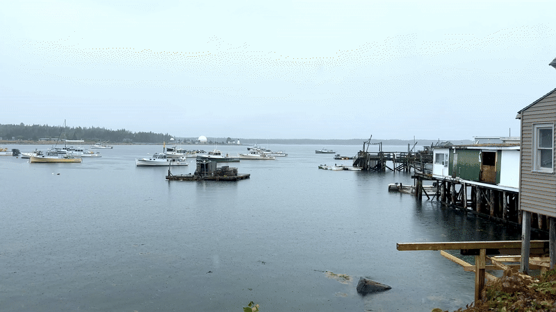 ezgif-4e636f4f83d468.gif