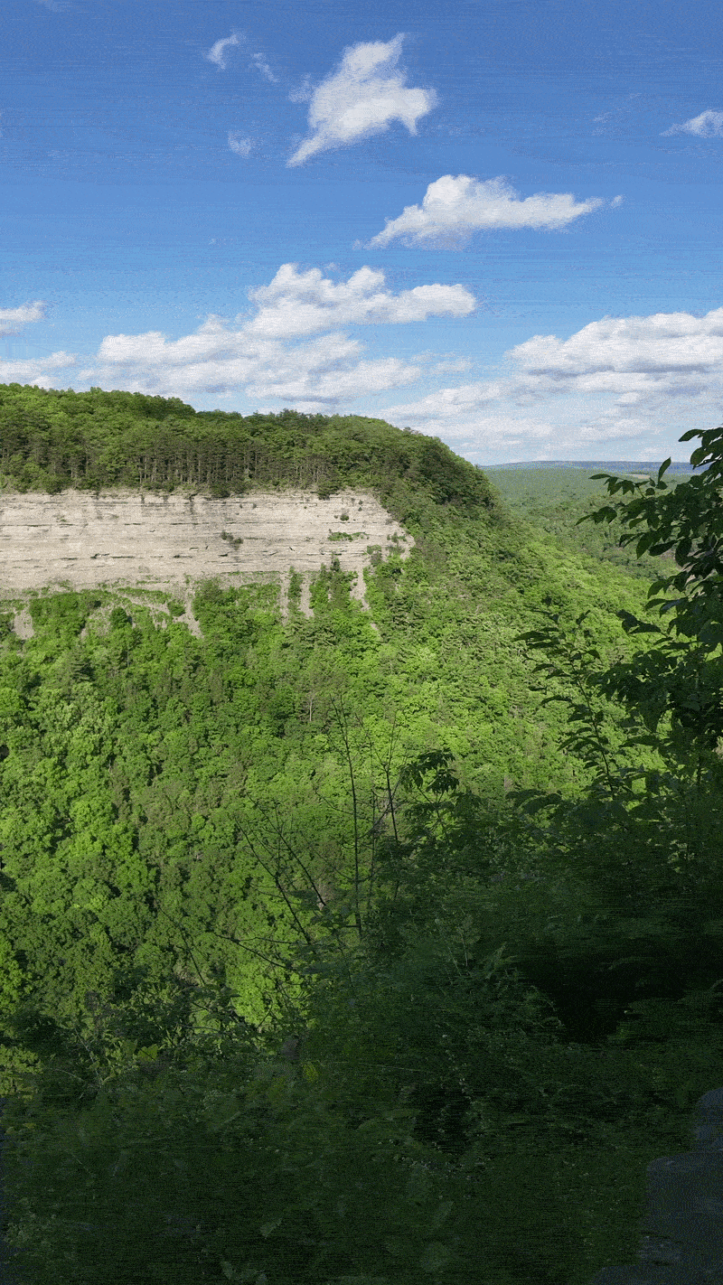 S4T-Letchworth.gif