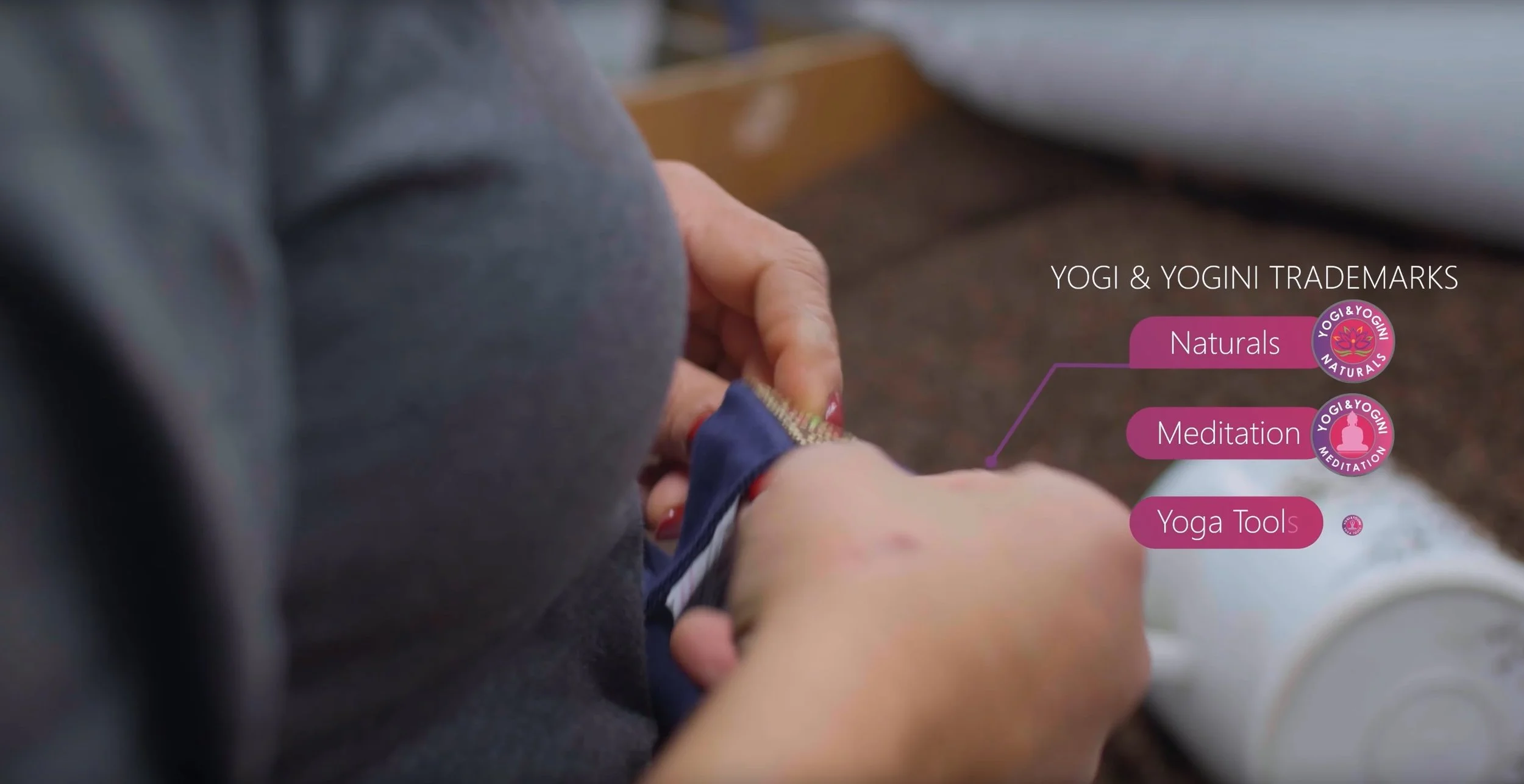  Mani Bhadra Phoenix Import | Corporate video