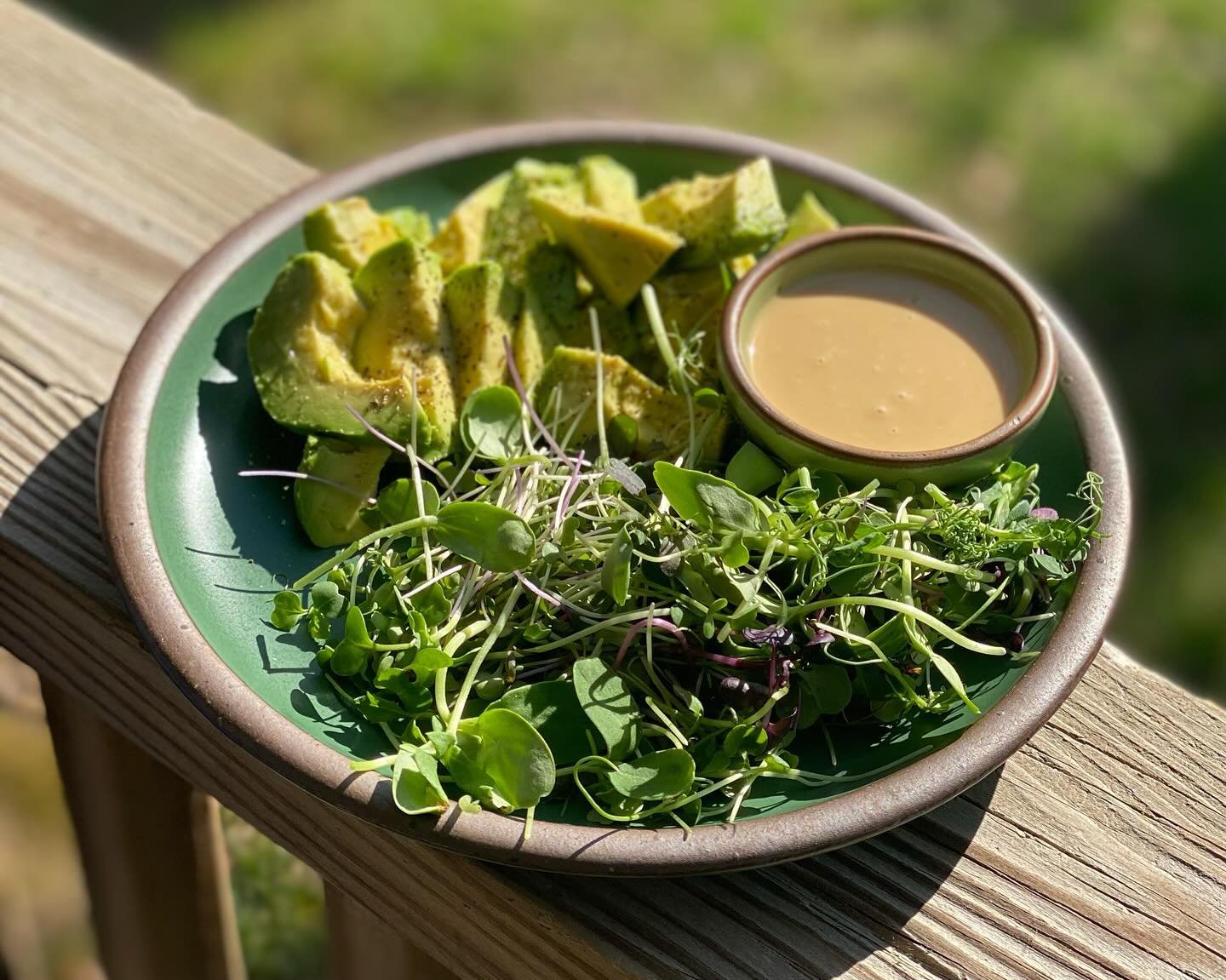 A perfect mid morning snack&hellip;

Sliced avocado, @secondfloramicrogreens  and Ali Rae&rsquo;s Peanut&bull;Sesame&bull;Ginger dressing

I love using our dressing to elevate an already delicious and healthy meal. The Peanut&bull;Sesame&bull;Ginger 