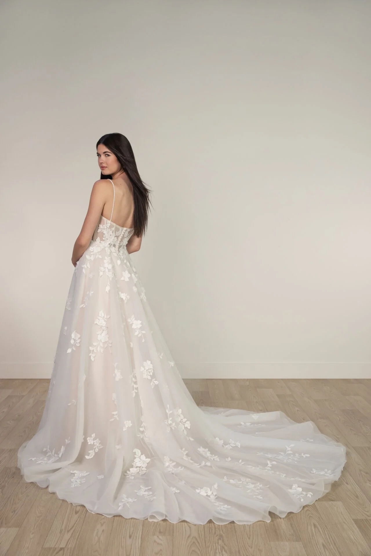 NEW! SY8123