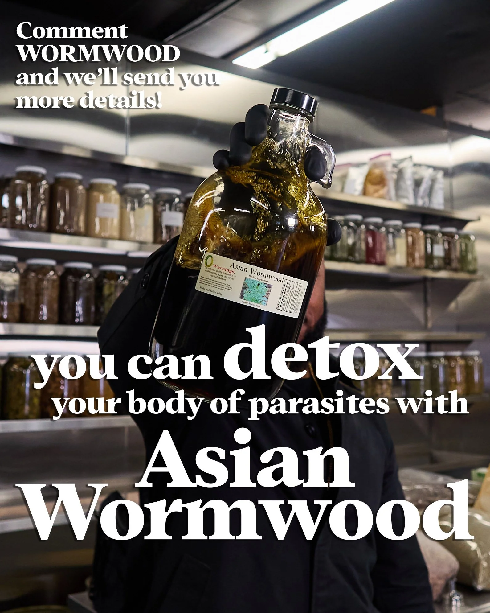 WORMWOOD.jpg
