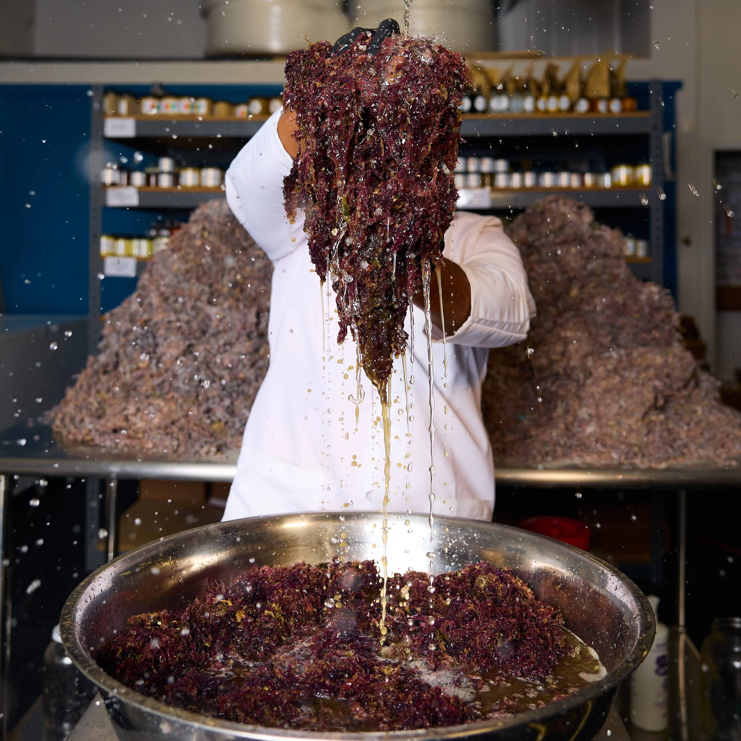 Purple Pre-Cleaned Moss.jpg