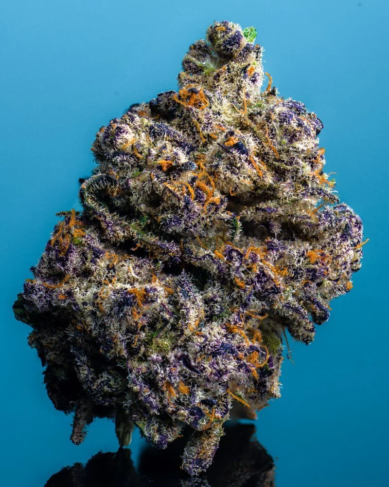 Cookies Bud Reserved Cannabis