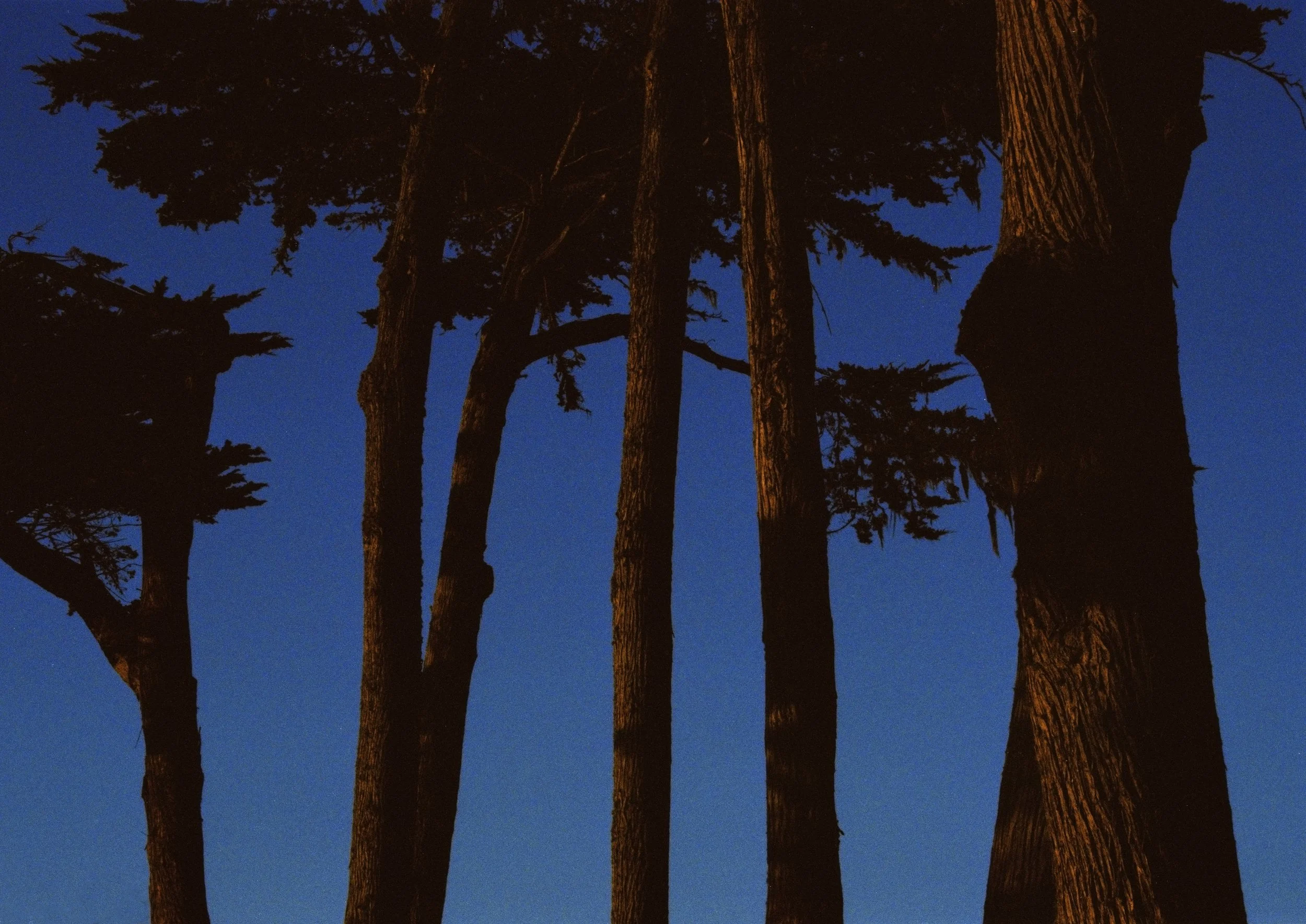 Macli23 • 2023TheCatchUp 081 copy.jpg