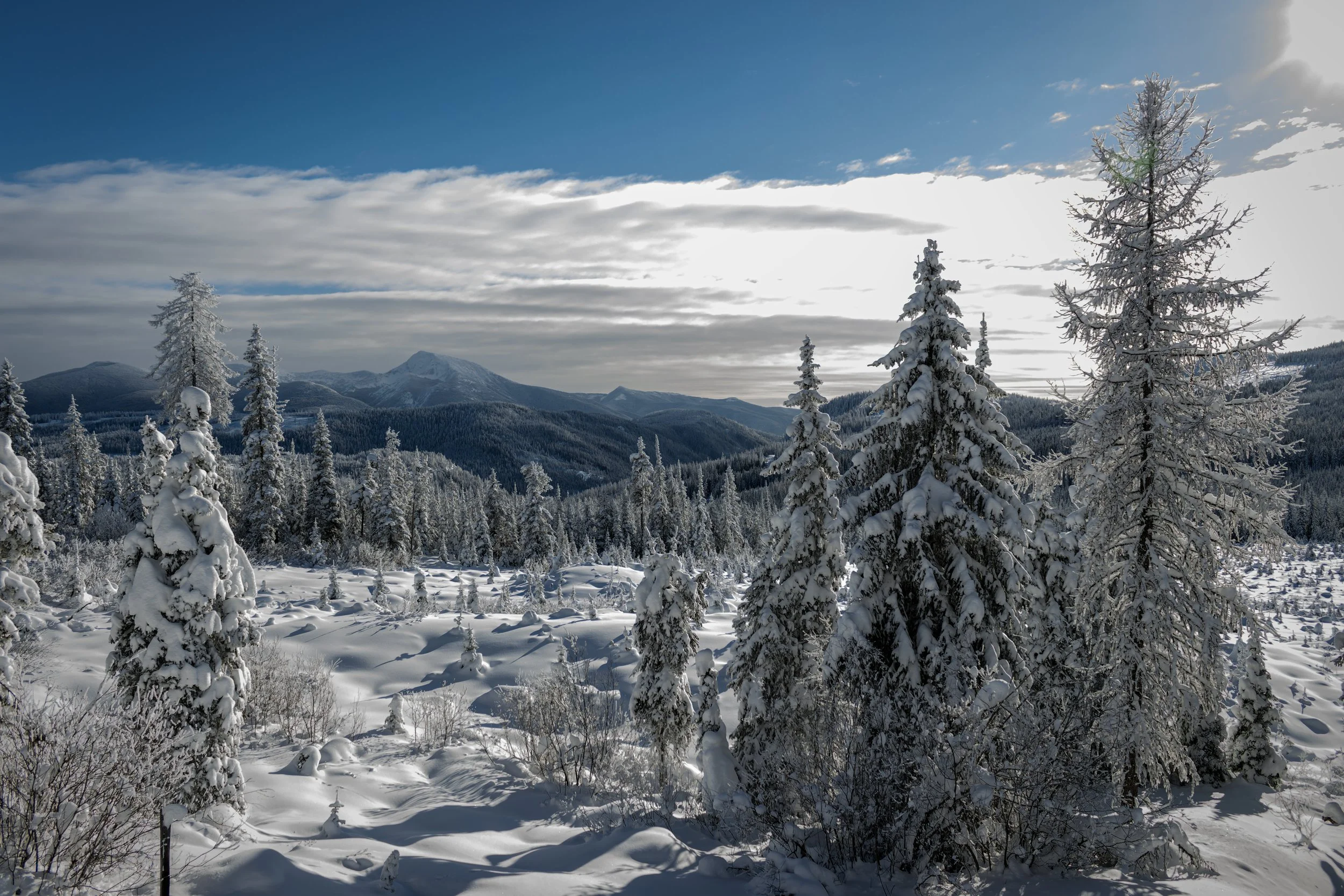 Paulson Summit 3-CR3_DxO_DeepPRIME - Thumbnail.jpg