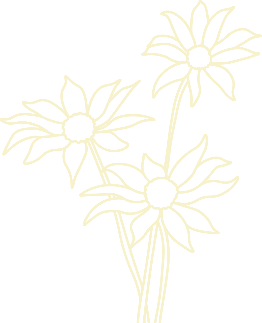 Line drawing of three daisies with long stems on a black background.