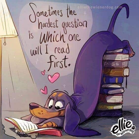 Sometimes? All the Time!	

#whichbook #lovebooks #bookstoread #readingromance #reads