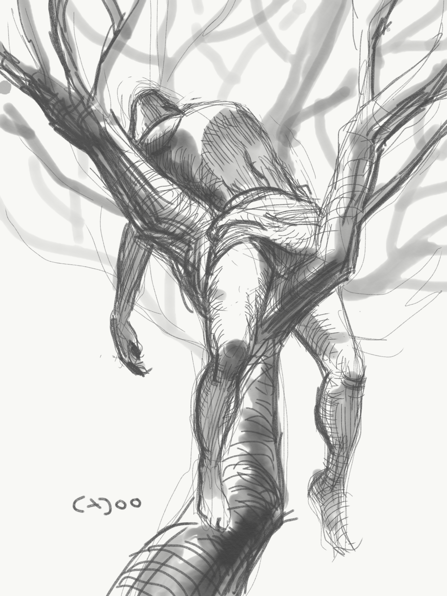 IMG_4821.PNG