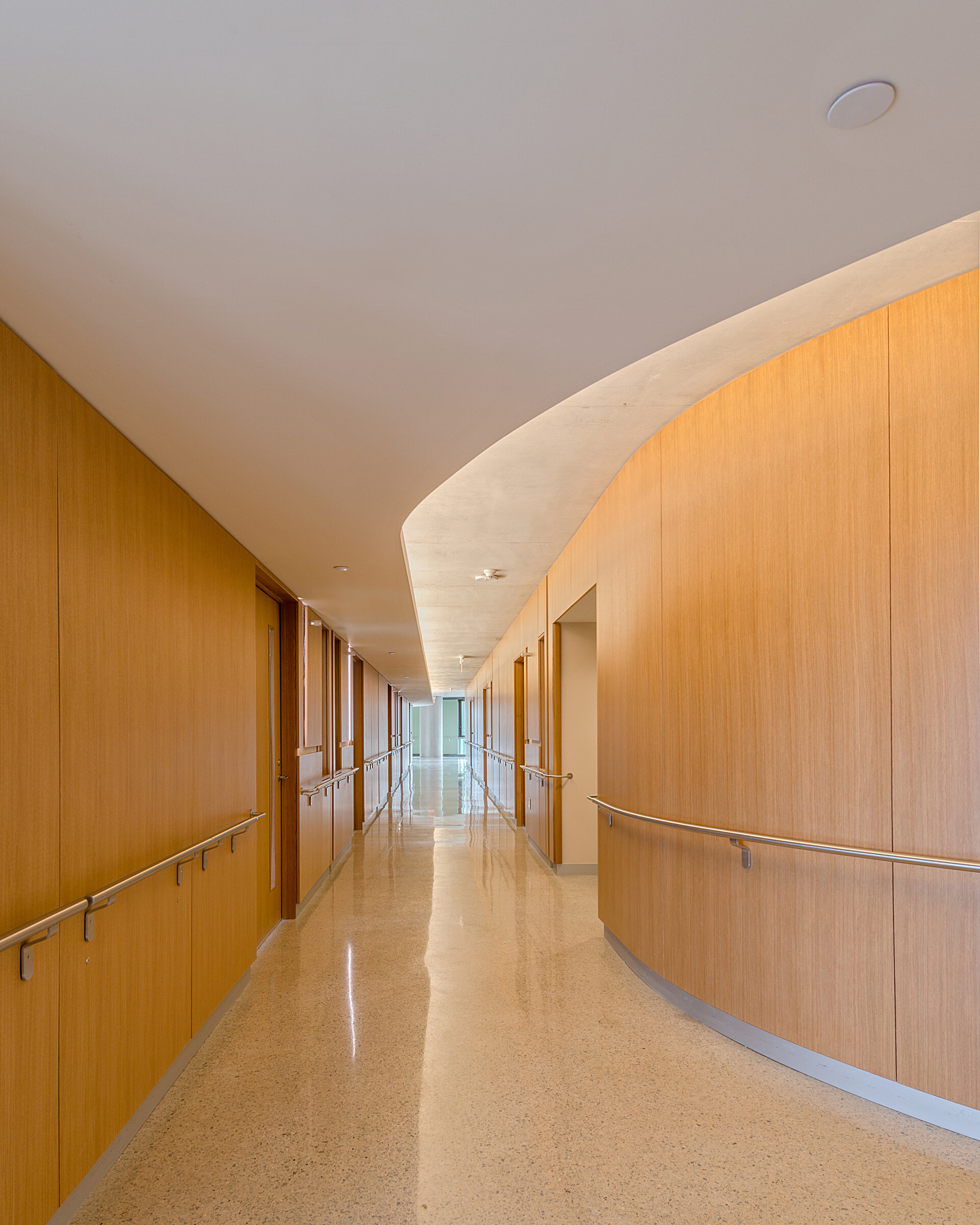 15 2 OConnor Drive James Dow.jpg