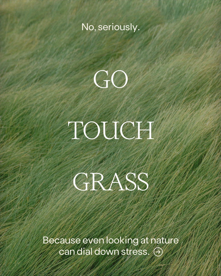 Screenshot 2025-10-23 at 2.25.05 PM.png