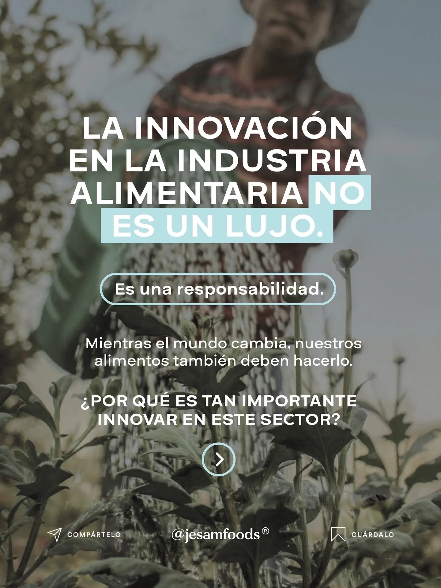 ¿Por qué la innovación alimentaria es más urgente que nunca?
Desde el cambio climático hasta el desperdicio, la innovación en alimentos no es una moda: es una respuesta necesaria a los retos de hoy.
Las mar