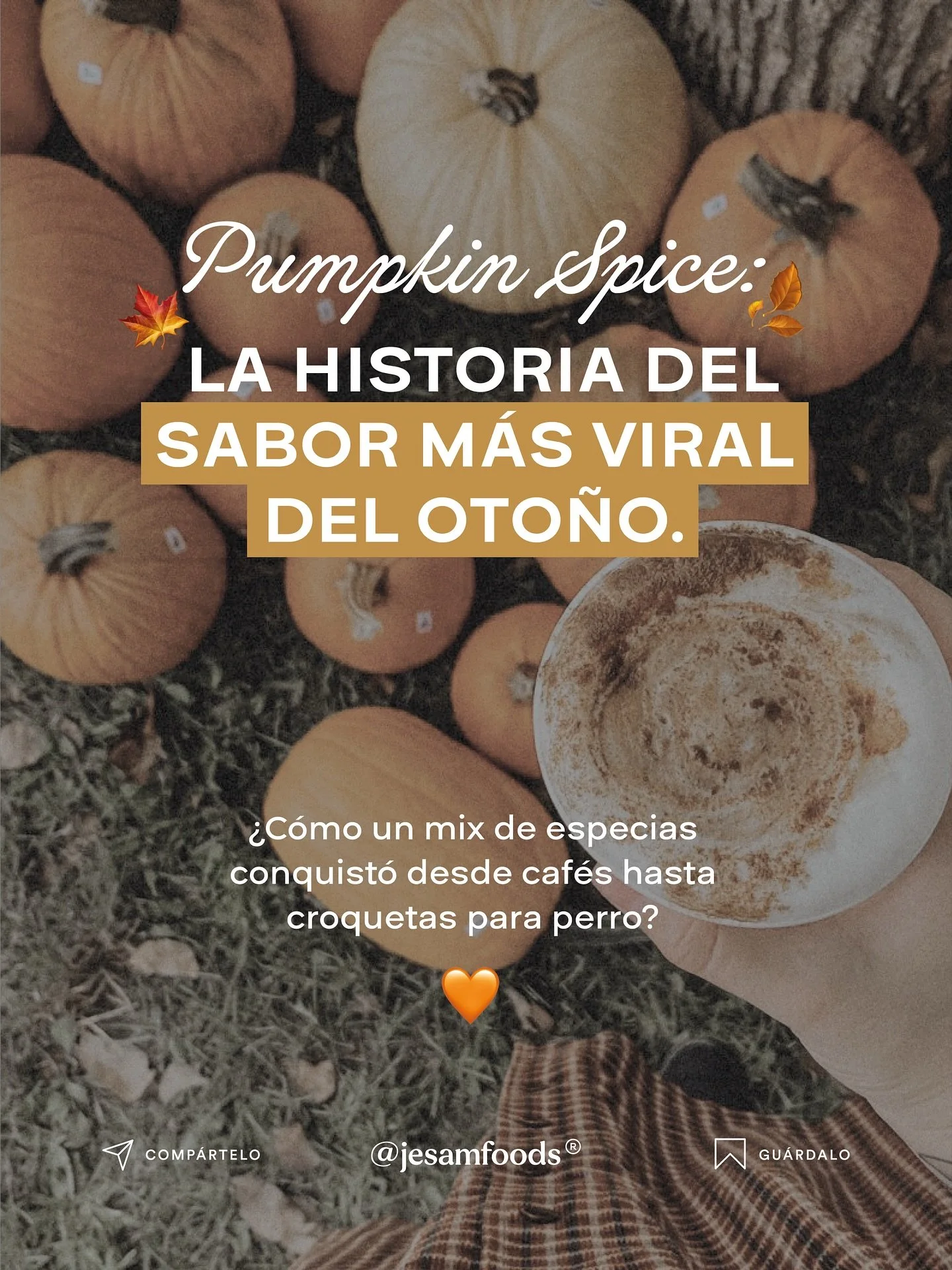 🎃 Pumpkin Spice no es solo una bebida: es una categoría cultural.
Nació de una mezcla de especias para pie, Starbucks lo volvió viral y hoy en día está en croquetas, barras proteicas y kombucha.
Este 2025, el sab