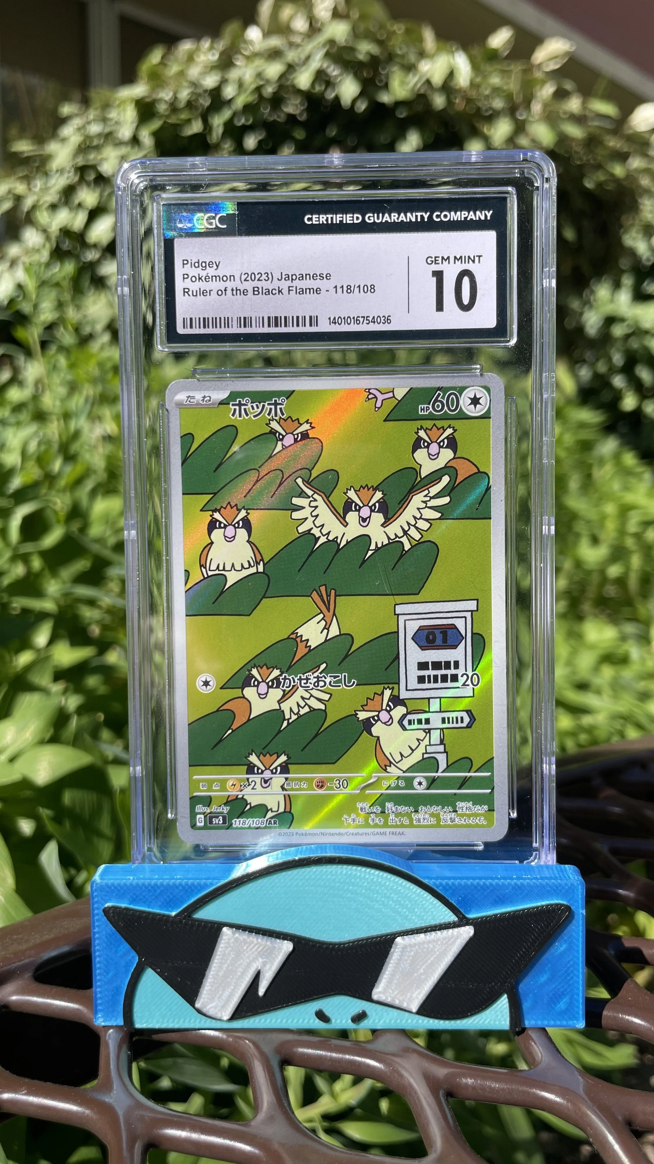 2023 Japanese Pidgey