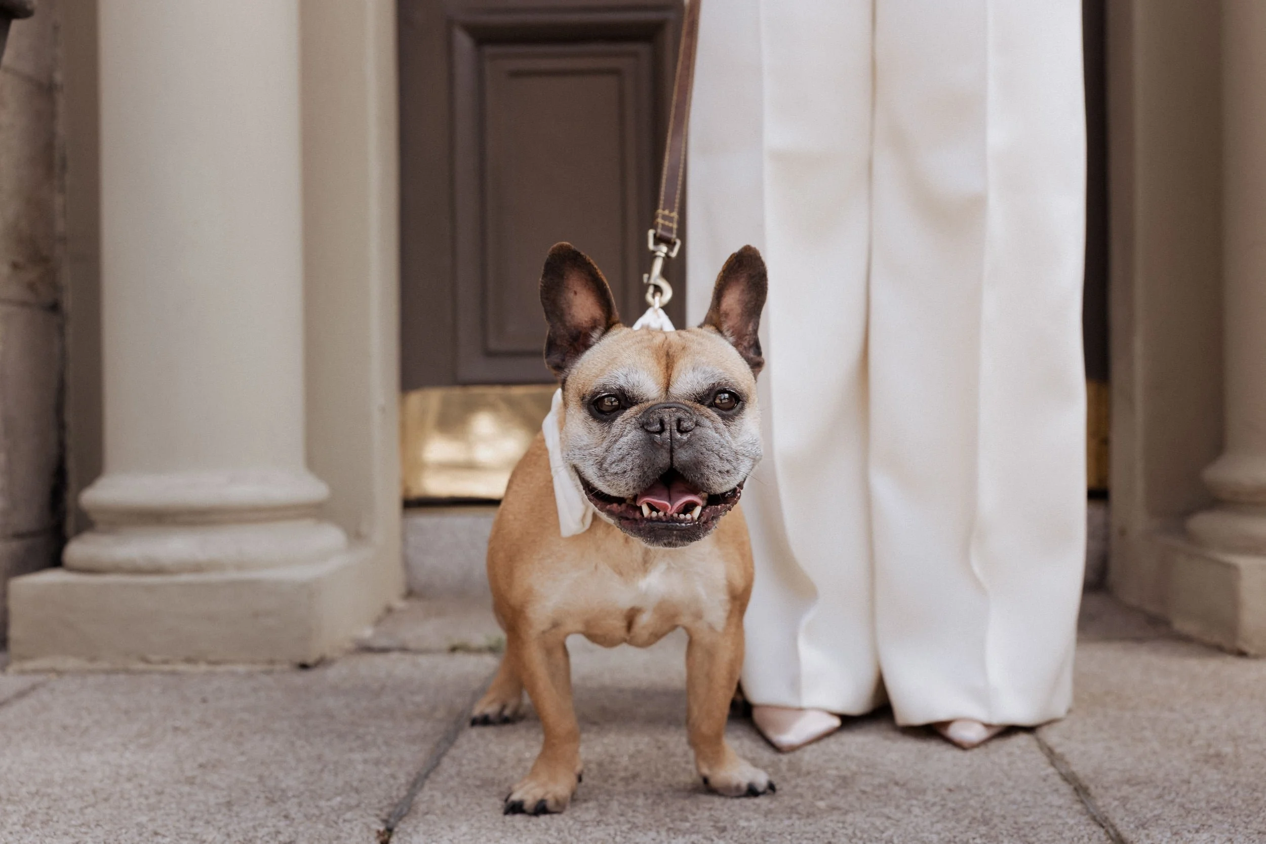 Claire Byrne Photography-weddings- rachel-louise.jpg