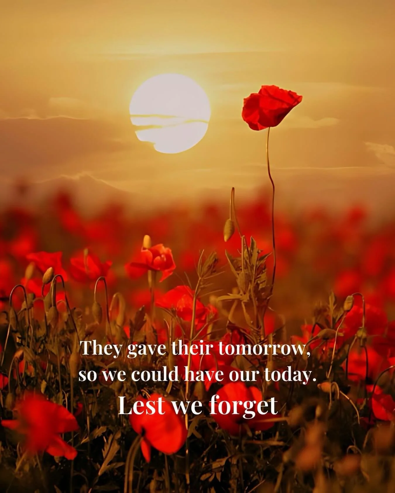 ANZAC DAY ~ We will remember them 🌺

#AnzacDay2026