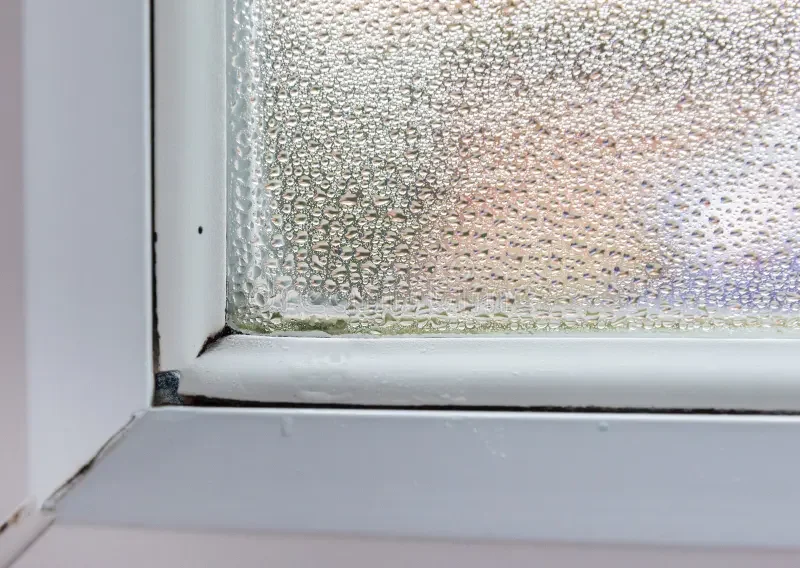Condensation forming on an interior double‑glazed window with water droplets and early signs of mould on the window frame, showing a common household damp problem caused by poor ventilation.