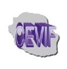 CEVIF - Collectif pour l'élimination des violences intrafamiliales