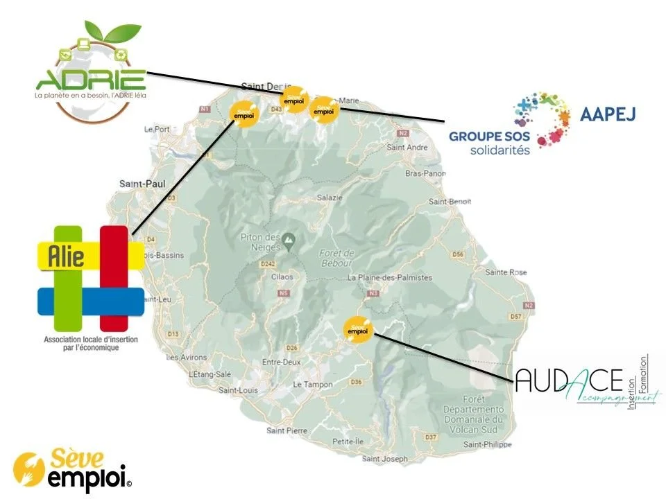 Présentation de la promotion SEVE Emploi 2023 à la Réunion !