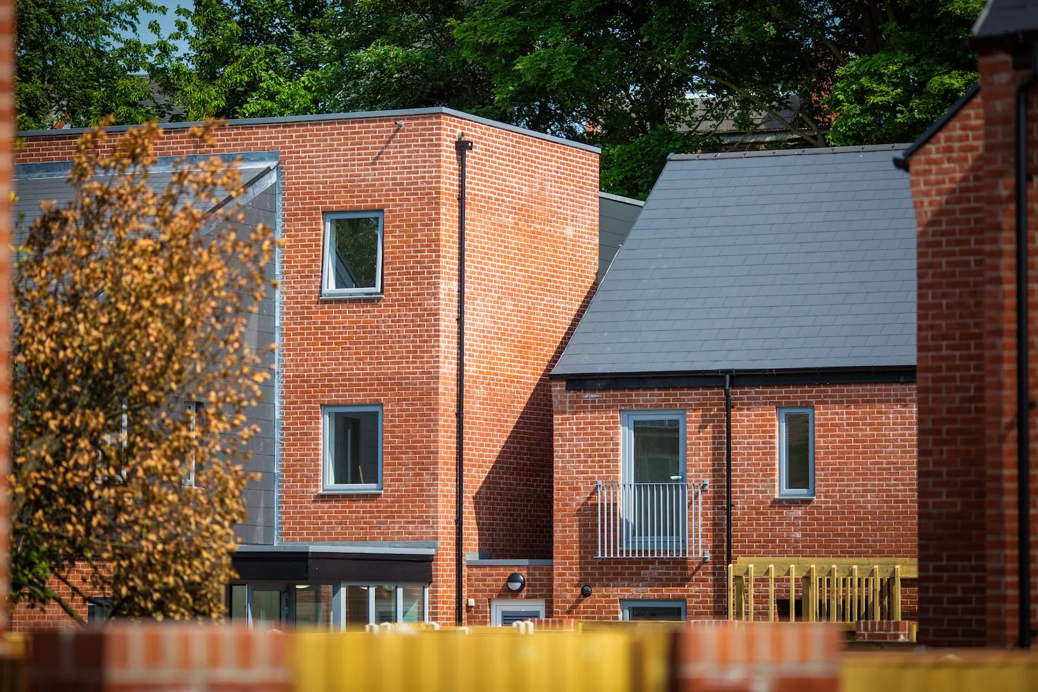 MORLEY AVENUE-2.jpg
