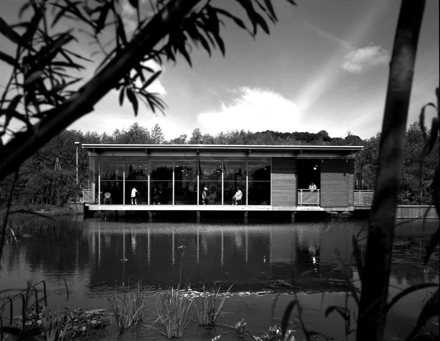 Natureworks