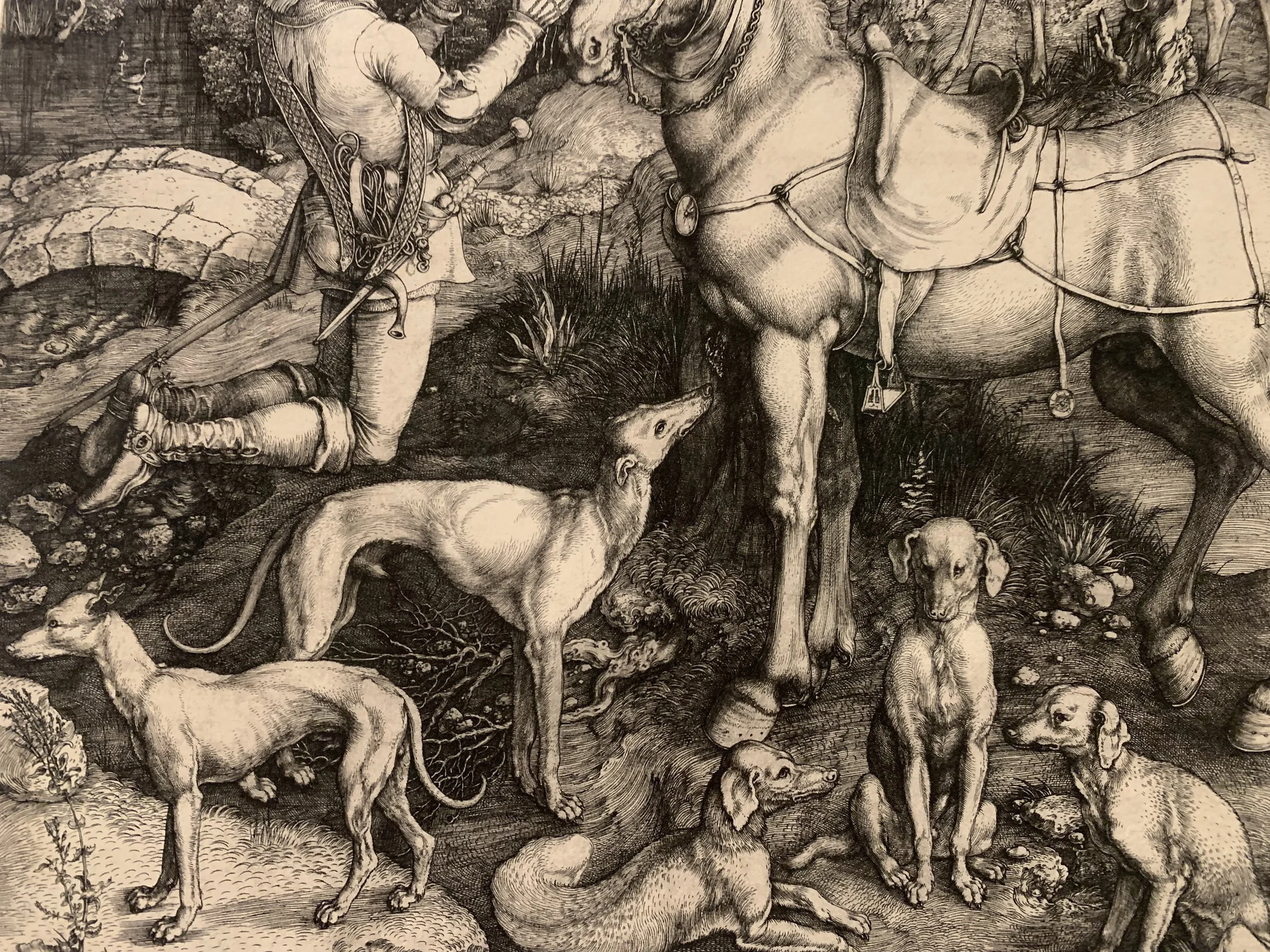 Review: Dürer’s Journeys