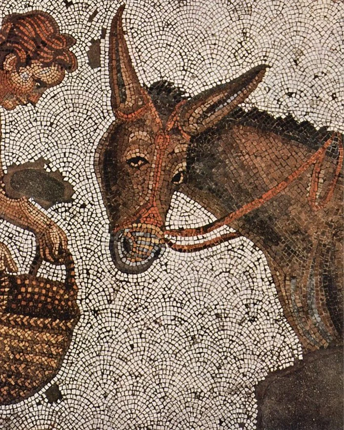 2 December: Little Donkey