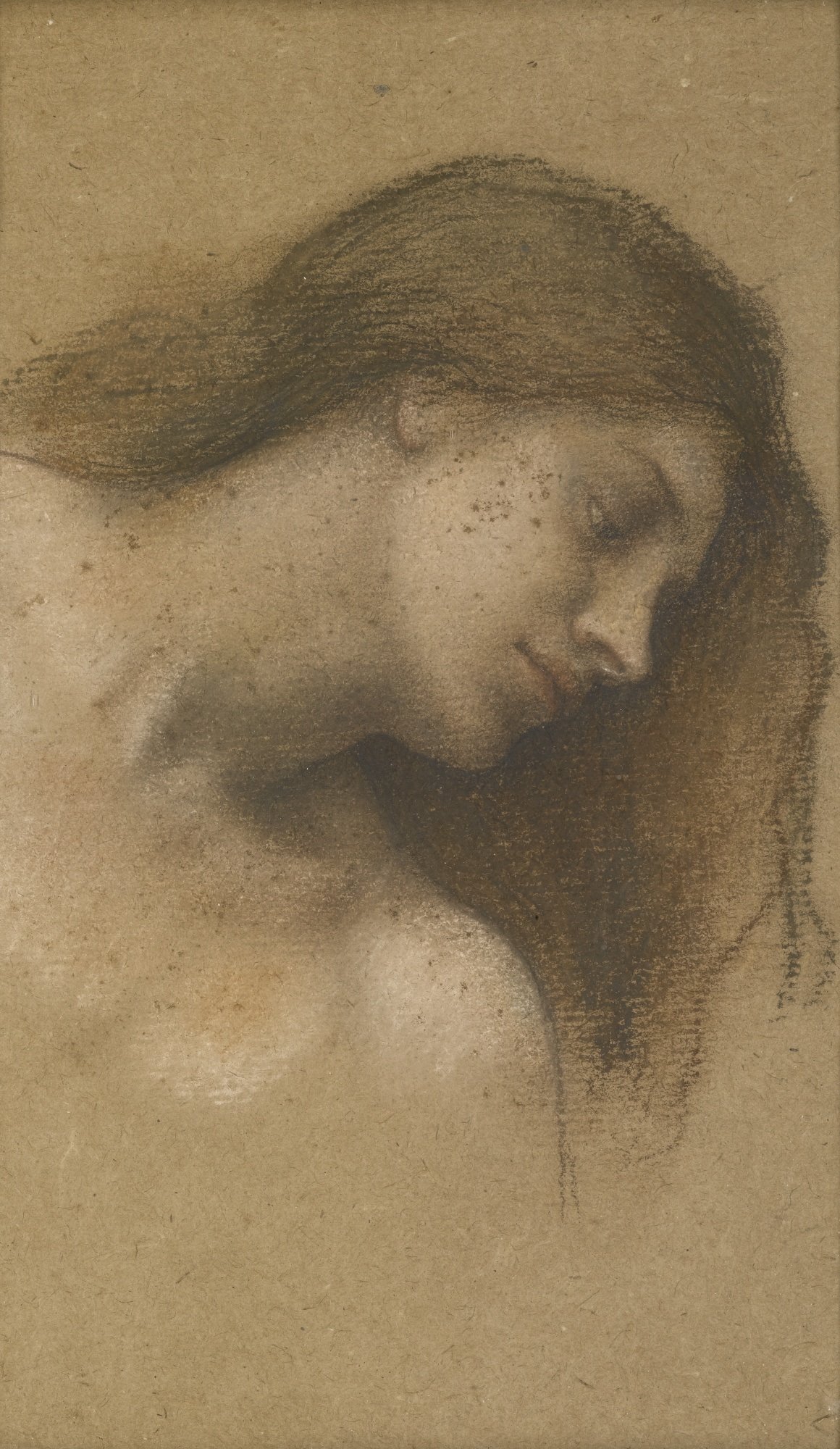 Study of a woman