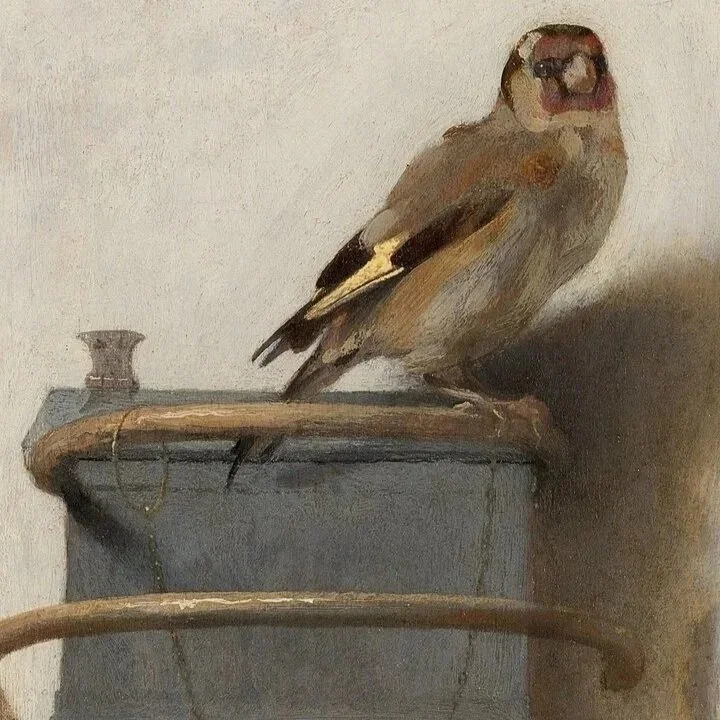 BIRDS – Curated by The Goldfinch &amp; Simon Schama