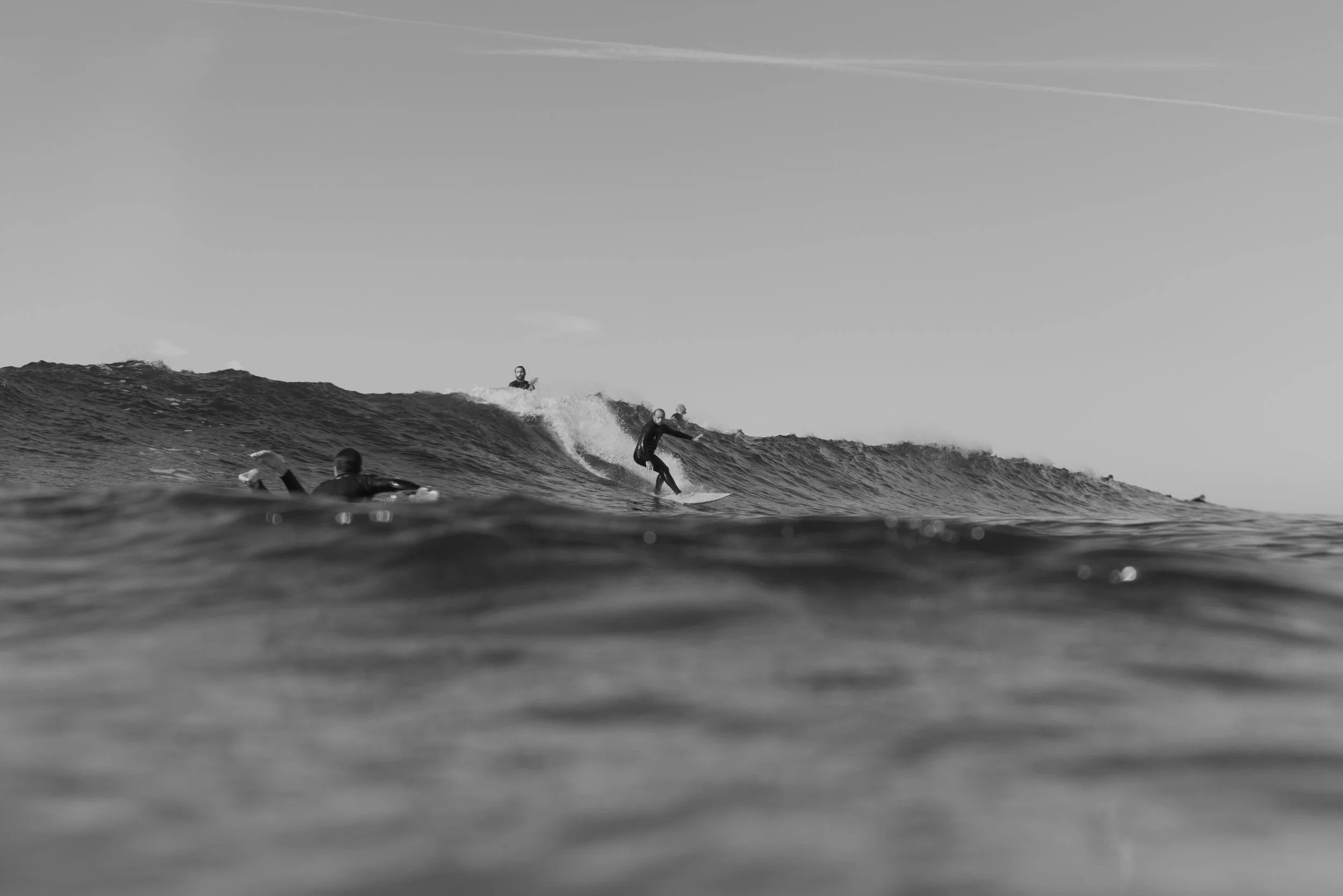 Filipe Neto Ribeira 003 301225.jpg